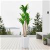 GarveeLife Pianta Artificiale Dracaena Di 137/147Cm, Falso Yucca in Un Grande Vaso Bianco, Pianta da Interno/Esterna per Casa E Ufficio