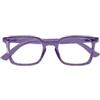 MAST INDUSTRIA ITALIANA SRL Occhiale da lettura twins silver primitivo viola +3,00