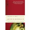 Arthur Rimbaud A Season in Hell & Illuminations (Tascabile)