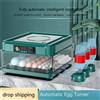 NONE Incubatrice Automatica per 36 Uova con Controllo Intelligente della Temperatura, Rotazione Automatica delle Uova + Ricarica Automatica dell'Acqua, Display a Colori, Incubatrice Compatta per Casa,