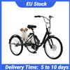 Daibot Triciclo elettrico a 3 ruote per adulti con batteria rimovibile, 350W 36V, 24 pollici, triciclo elettrico per anziani, bicicletta elettrica per famiglie