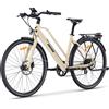varstrom [Consegna in 3 Giorni] Bici Elettrica da Città, Motore Posteriore da 250W, Batteria 36V 10Ah, Fino a 100 km di Autonomia, Velocità Massima 25 km/h, Display LCD Colorato, E-Bike da Città a Basso