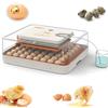 NONE Incubatrice completamente automatica per 56 uova, con dispositivo automatico di rotazione delle uova, spegnimento automatico prima della fine del periodo di incubazione, lampada LED per la visione