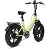 BODYWEL F20PRO Bicicletta Elettrica con Pneumatici Larghi 20 X 4.0', Batteria al Litio Rimovibile 48V 20Ah, Motore BAFANG Brushless, Freno a Disco Idraulico, E-Bike a 7 Velocità