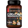 MYLAB NUTRITION Srl T-Rex Integratori Creatina Monoidrato Micronizzata Gusto Pesca 250 g - Integratore Di Creatina