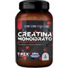 MYLAB NUTRITION Srl T-Rex Integratori Creatina Monoidrato Micronizzata Gusto Frutti Di Bosco 250 g - Integratore Di Creatina