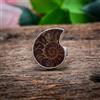 Handmade Favorable Ammoniti Cover Gemma 925 Argento Sterling Handmade Ring Regalo per Lei