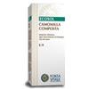 FORZA VITALE Ecosol melised-t 60 compresse - FORZA VITALE - 901397024