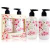 Accentra Essential Botanicals Hand Care Set 2 pz