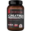 MYLAB NUTRITION Srl T-Rex Integratori Creatina Monoidrato Micronizzata Gusto Neutro 250 g - Integratore Di Creatina