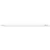 Apple Pencil (USB-C) Ricondizionato - Eccellente