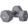 SPORTNOW 2x1-10 kg Set di 2 Manubri Palestra Esagonali Antiscivolo | Set Pesi Palestra Esagonali in Metallo, Allenamento Forza Fitness Casa, per Uomini/Donne