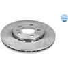 Meyle Dischi Freno Ant Vw Golf Iv 256Mm 1155211018