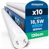 Eurocali 10 Tubi LED 16,5W 120cm T8 G13 SMD con Starter 1850 Lumen Garanzia 3 Anni - Luce Fredda 6500K - Alta Luminosità 112 lm/W - Materiale Nano Plastic Sostituzione Neon per Soffitto Garage Negozio