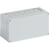 Spelsberg Custodia vuota 690V PC RAL7035 - Quadro elettrico (vuoto) 150x300mm AKi 1-g