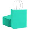 Gcardist 24PCS Sacchetto regalo medio con manici all'ingrosso 21x11x27.3cm, sacchetto regalo verde chiaro, multiuso (21x11x27.3cm, medio)