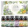 PROVINA Set di oli essenziali 6 x 10 ml profumi naturali per diffusore | Set 6 Fragranze Naturali per Diffusore: Tea Tree, Eucalipto, Menta Piperita, Lavanda, Citronella e Arancia Dolce