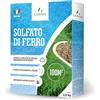 LERAVA® Solfato di Ferro (100m²) - Antimuschio per prato - Correttore pH e Anti-Ingiallimento - Antingiallente Fogliare - Correttore Clorosi Ferrica - Ferro per piante - concime granulare