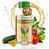 Fitokem Olio di Neem per Piante "NUTRIZIONE" 1Litro Biologico per Orto Prato Giardino Anti Afidi Cocciniglia Pidocchi Cimici Bruchi Moscerini Piante Potenziato con Microelementi, Alghe e Acidi Umici