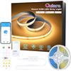 OULARA WIFI COB LED Striscia Blanco Caldo 2700K,10M Dimmabile set di luce a LED Nastro 24V,Lavori Intelligenti con Alexa/Google Assistant per l'illuminazione Armadio,Camera da letto,Cucina