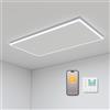 byecold Riscaldamento a soffitto a infrarossi, 840 Watt, riscaldamento a infrarossi, montaggio a soffitto, con illuminazione a LED, riscaldamento a infrarossi con termostato, controllo tramite app
