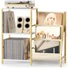 Bikoney Mobile Porta Vinili con 3 Ripiani Espositore, Contenitore per 200 Dischi in Vinile, Gabinetto per Vinili da Soggiorno in Stile Elegante Mobile Audio per Stereo e Attrezzature Musicali (Oro)