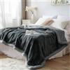 Bedding Aid Coperta impermeabile per letto matrimoniale, in pile double-face, confortevole, senza sporcare, a prova di perdite, antimacchia e impermeabile, double-face (antracite/grigio argento, 85 x