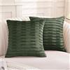 Ystyle Federe Cuscini divano 40 x 40 cm Set da 2, Divano Copricuscini in Velluto Morbido, Moderna per Camera da Divano Letto, con Cerniera Invisibile Lavabili Elegante Resistente, Verde Salvia