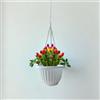 GMM Vaso Sospeso da Giardino, 20 cm, Vaso Pensile con Catena in Metallo e Gancio per Piante e Fiori (Bianco)