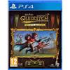 Warner Bros. Games Harry Potter: Quidditch Champions Deluxe Edition - PS4