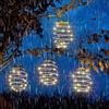 Smart Garden Decorazione luminosa Smart Garden Spiralight Grigio 4 Unit?
