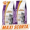 Monge Gemon Cat Adult Pollo e Tacchino - SCORTA CONVENIENZA - Sacco da 7 Kg - 7 confezioni