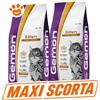 Monge Gemon Cat Kitten con Pollo e Riso - SCORTA CONVENIENZA - Sacco da 7 Kg - 10 confezioni