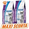 Monge Gemon Cat Adult Sterilised Tonno e Salmone - SCORTA CONVENIENZA - Sacco da 7 Kg - 10 confezioni