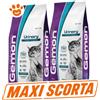 Monge Gemon Cat Adult Urinary - SCORTA CONVENIENZA - Sacco da 7 Kg - 10 confezioni