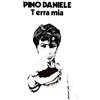 Pino Daniele Terra Mia (Vinyl LP)