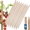 KOTARBAU® 15 Pezzi Pali in Legno - 80 cm - Pali per Pomodori - Legno di Faggio - Naturale - Tutore per Piante - Bastoni per Pomodori - Stecche per Piante - Robusti