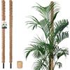 KOTARBAU® 2 pezzi Tutori per Piante - ⌀ 3,2 x 150 cm - Palo di Muschio per Monstera - Fibra di Cocco - Palo per Piante - Marrone - Stecche di Supporto - Bastone Fibra di Cocco