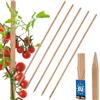 KOTARBAU® 5 Pezzi Pali in Legno - 150 cm - Pali per Pomodori - Legno di Faggio - Naturale - Tutore per Piante - Bastoni per Pomodori - Stecche per Piante - Robusti