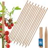 KOTARBAU® 15 Pezzi Pali in Legno - 120 cm - Pali per Pomodori - Legno di Faggio - Naturale - Tutore per Piante - Bastoni per Pomodori - Stecche per Piante - Robusti