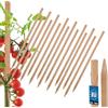 KOTARBAU® 15 Pezzi Pali in Legno - 40 cm - Pali per Pomodori - Legno di Faggio - Naturale - Tutore per Piante - Bastoni per Pomodori - Stecche per Piante - Robusti