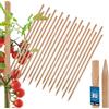 KOTARBAU® 20 Pezzi Pali in Legno - 60 cm - Pali per Pomodori - Legno di Faggio - Naturale - Tutore per Piante - Bastoni per Pomodori - Stecche per Piante - Robusti