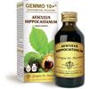 DR.GIORGINI SER-VIS Srl Ippocastano G10+ Aesculus Hippocastanum Dr. Giorgini 100ml