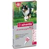 BAYER Advantix Marrone Spot-on Per Cani Oltre 10kg Fino A 25kg - 4 Pipette Antipulci Zecche