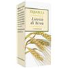 ERBAMEA Lievito Di Birra Integratore Capelli E Unghie 250 Compresse