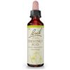 Bach Chestnut Bud, gocce di fiori di ruscello originali n. 7, 20 ml