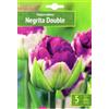 AGRONOM Tested in the garden AGRONOM | TULIPANI - NEGRITA DOUBLE | Bulbi Tulipani | Bulbi fiori perenni | Fiori Bordeaux-Blu | Sono piantati in giardini fioriti, in prati fioriti | I meravigliosi fiori | Confezione da 5 Bulbi