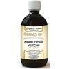 DR.GIORGINI SER-VIS Srl GEMMO 10+ GEMMODERIVATO CONCENTRATO LIQUIDO ANALCOLICO AMPELOPSIS VEITCHI VITE CANADESE 500 ML