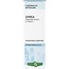 ERBA VITA GROUP SPA SPIREA ULMARIA TINTURA IDROALCOLICA 50 ML EBV