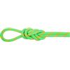 Mammut 8.0 Alpine Dry Rope mezza corda arrampicata